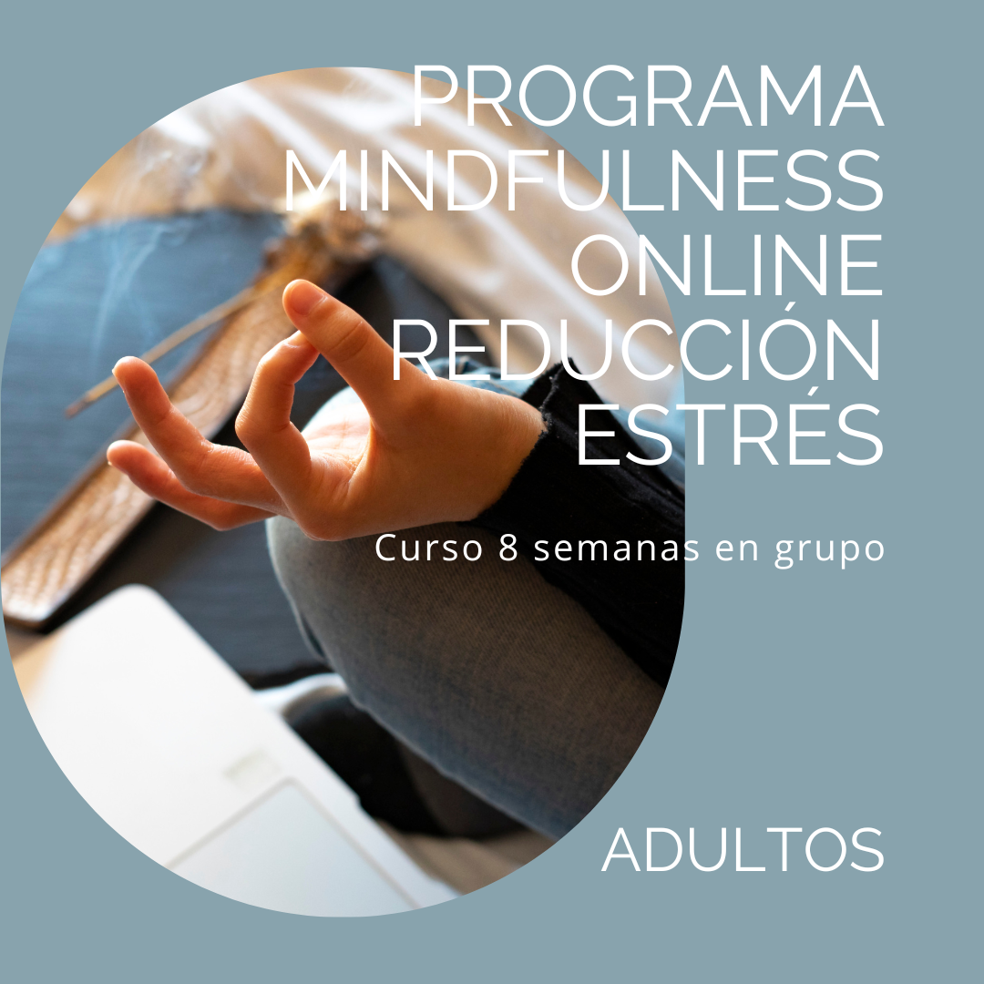 Programa curso 8 semanas online Mindfulness