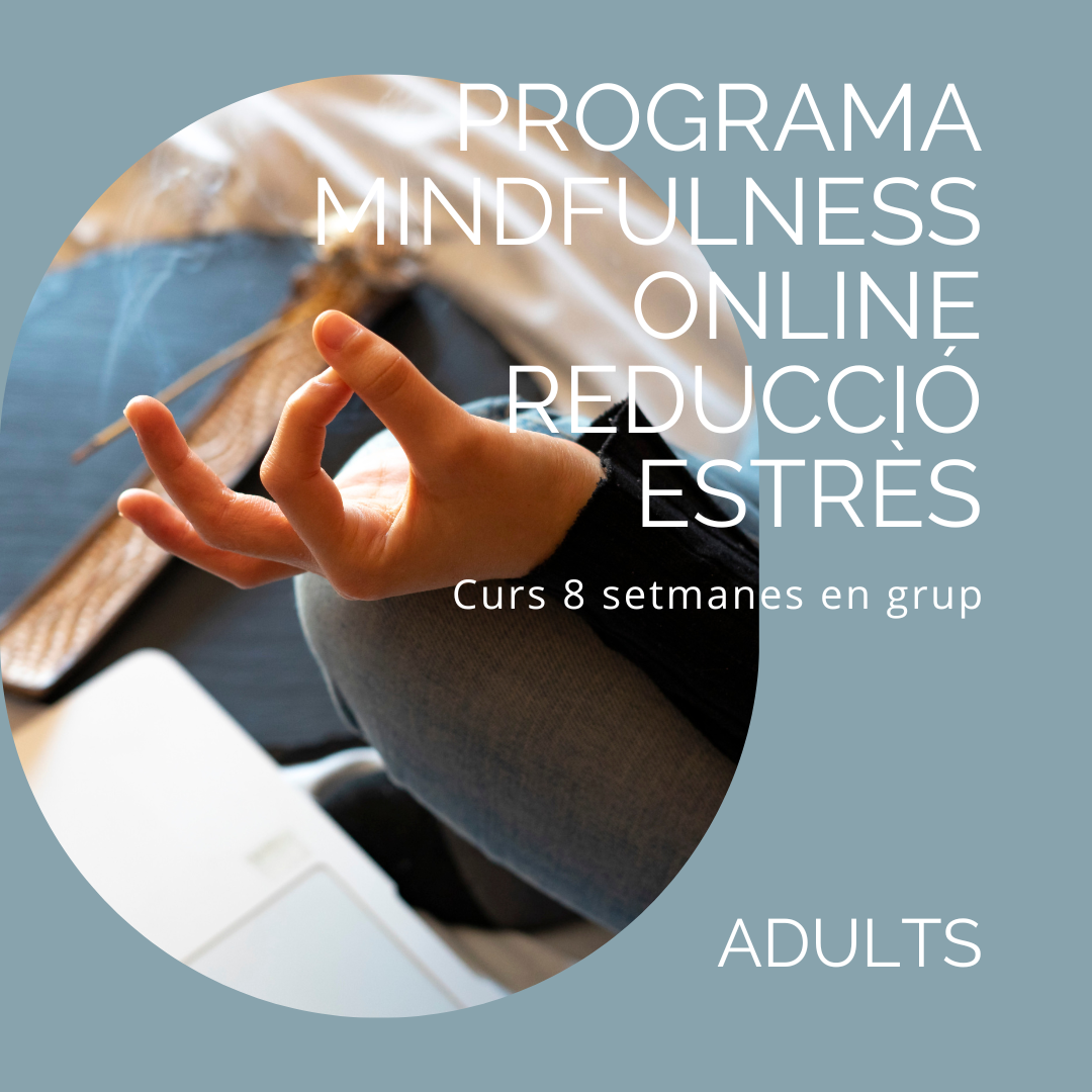 Programa curs online Mindfulness tardes